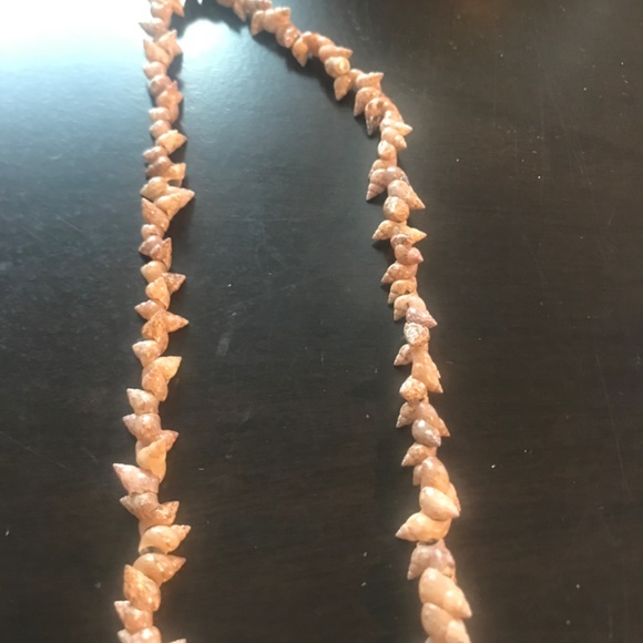 African Handmade Sea Shell Necklace VGC - Picture 3 of 5